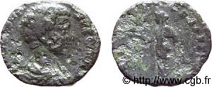 N&deg; Denier fourr� - 196